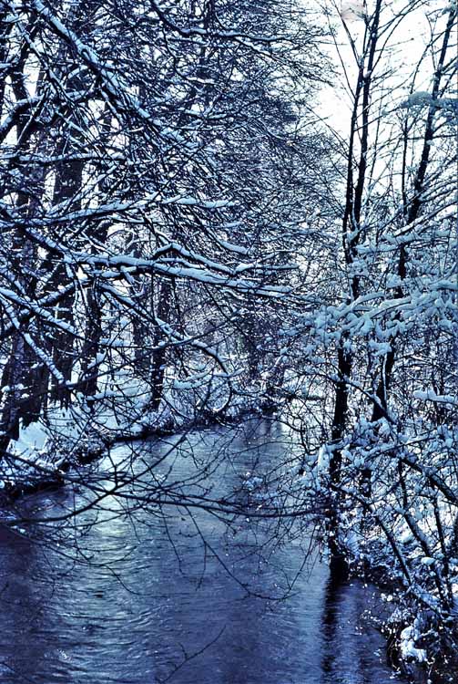 winter scene
